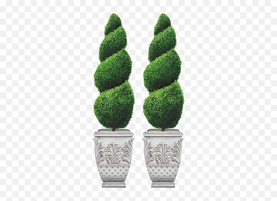 Topiary Garden Trees - Topiary Tree Clipart Png,Boxwood Png