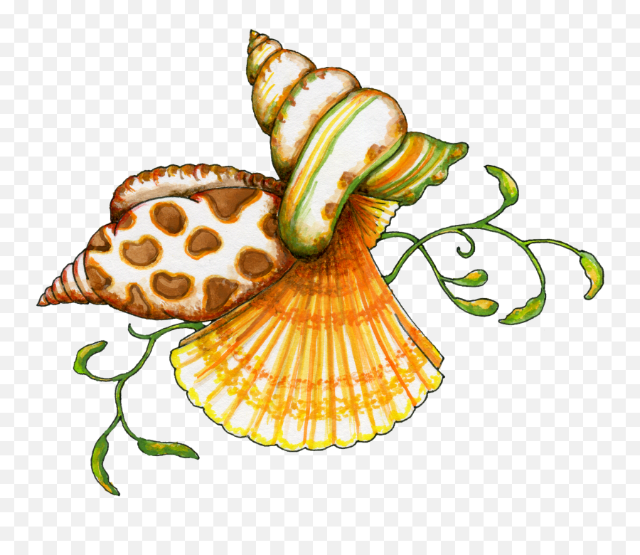 Whatu0027s A Png File And How Do You Open One Sea Art - Sea Shells Clipart Transparent,Ocean Clipart Png