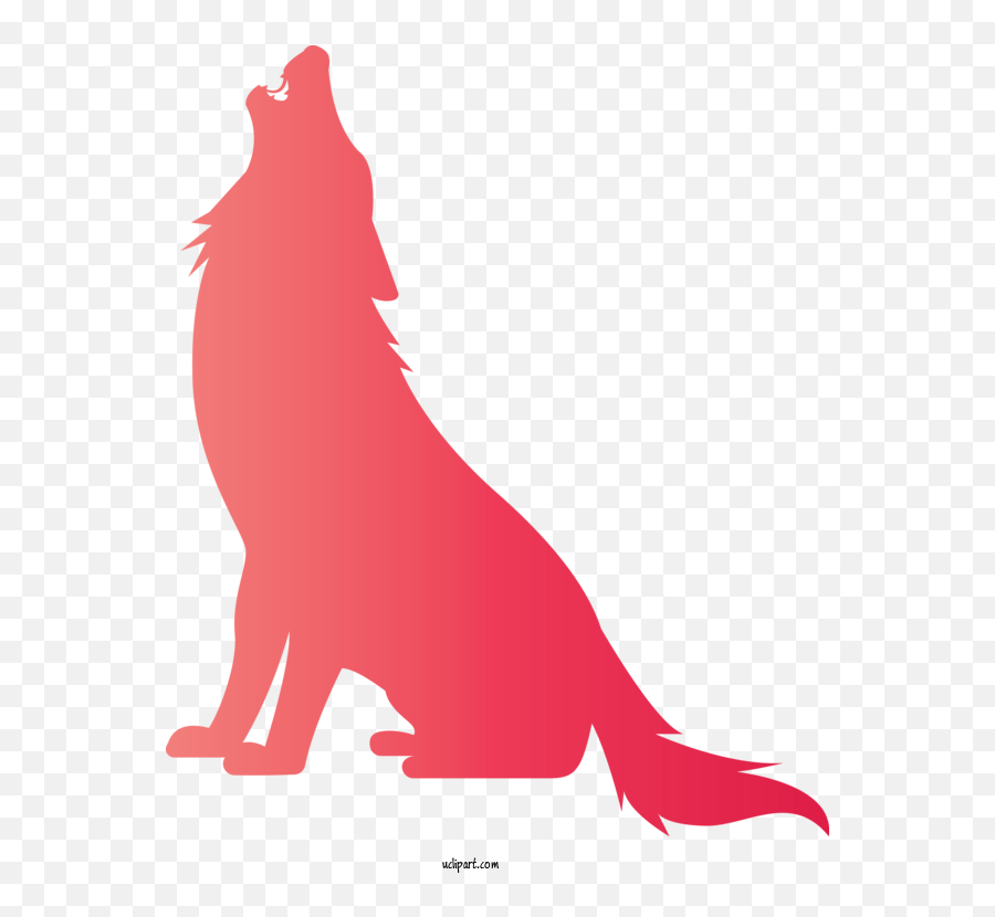 Animals Red California Sea Lion Tail For Wolf - Wolf Clipart Lion Png,Sea Lion Png