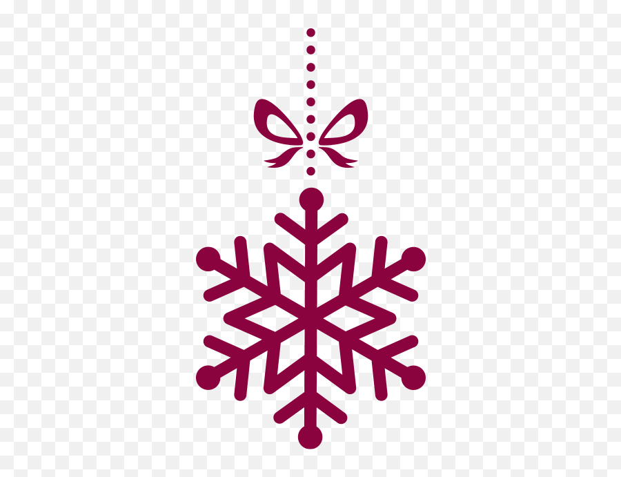 Christmas - Ice Pack Fir Burn Png,Details Icon