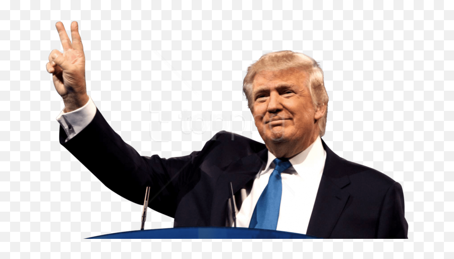 Free Png Donald Trump - Transparent Donald Trump Clipart Donald Trump White Background,Donald Trump Signature Png