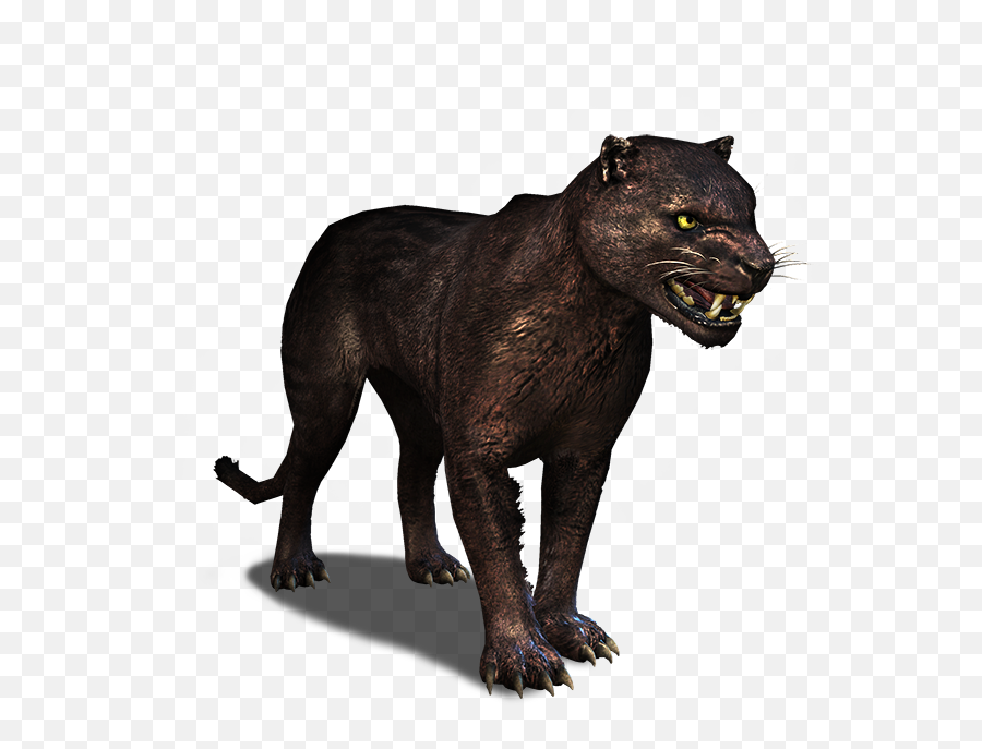 Panther - The Official Witcher Wiki Pantera Png,Panthers Png