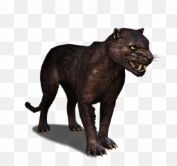 Panther - The Official Witcher Wiki Pantera Png,Panthers Png