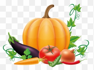 Pumpkin Png