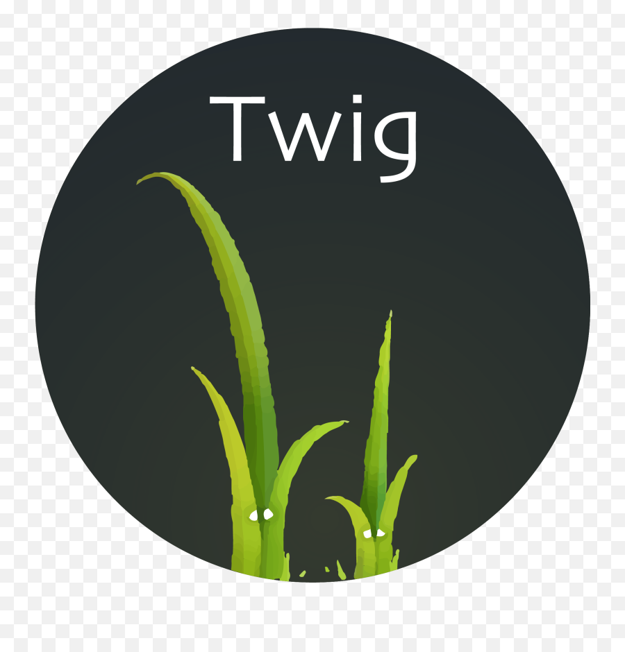 Twig Language Support - Visual Studio Marketplace Language Png,Twig Icon