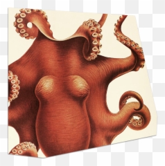 Tomorrowu0027s Organizational Structure Zeus Jones - Common Octopus Png,Vintage V6 Icon