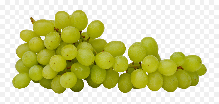 Green Grapes - Transparent Green Grapes Png,Grapes Png