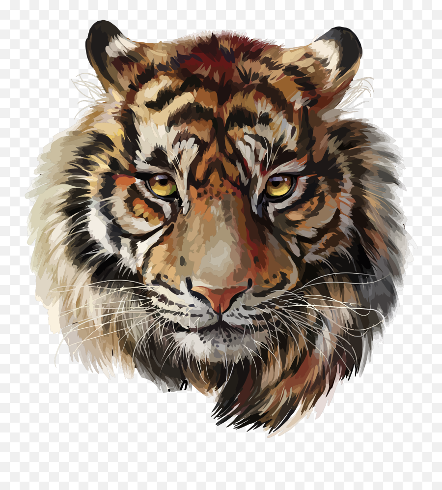 Tiger Head Watercolor Painting Png Image Free Download - Painting Tiger Watercolor,Painting Png