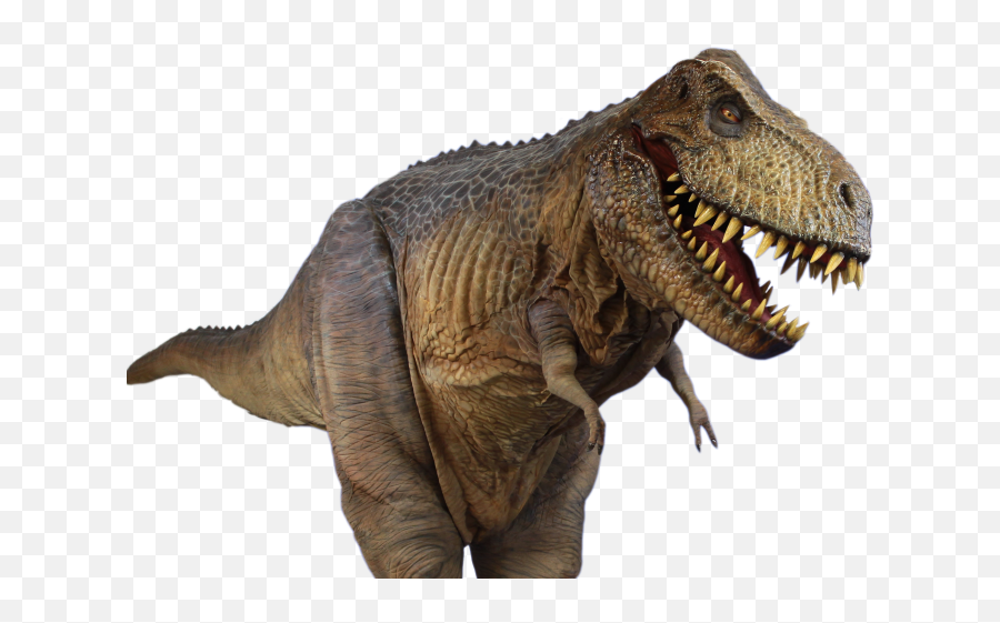 T Rex Png Transparent Hd Photo - Tiranosaurio Rex Png Hd,Tyrannosaurus Rex Png