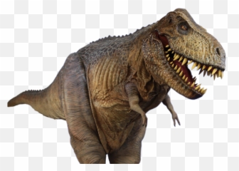 T Rex Png Transparent Hd Photo - Tiranosaurio Rex Png Hd,Tyrannosaurus Rex Png