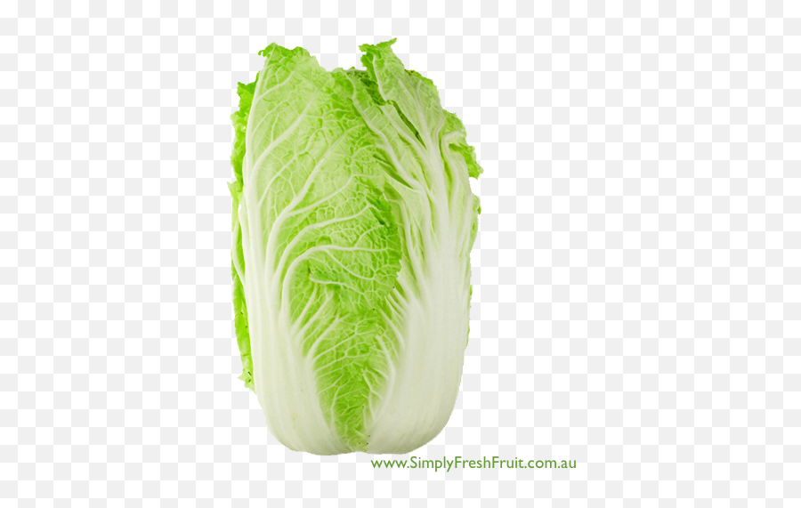 Chinese Cabbage Png 3 Image - Chinese Cabbage Png,Cabbage Png