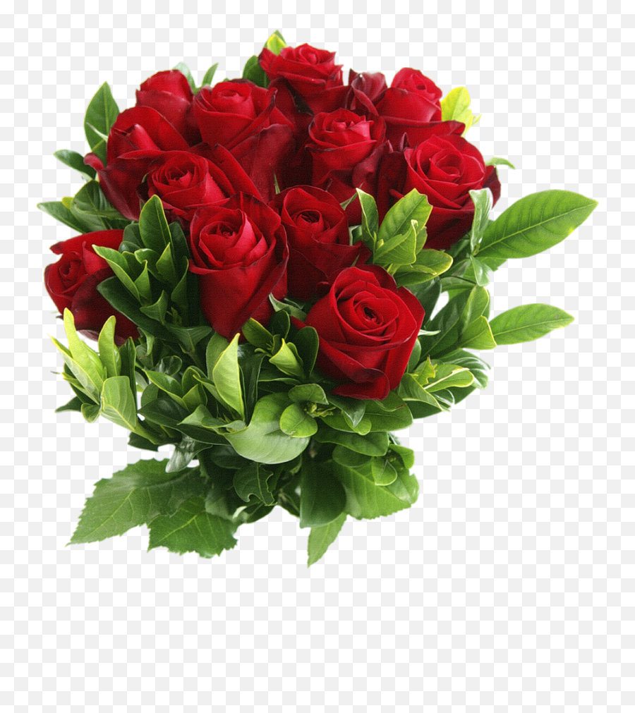 Download Red Rose Png Image For Free - Red Rose Flower Png,Red Rose Png