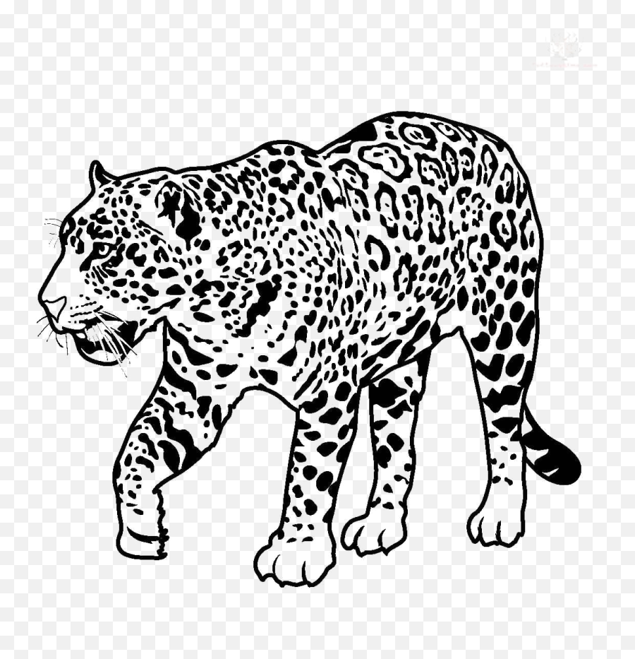 Jaguar Walking Transparent Image Png Arts - Jaguar Coloring Page,Jaguar Png