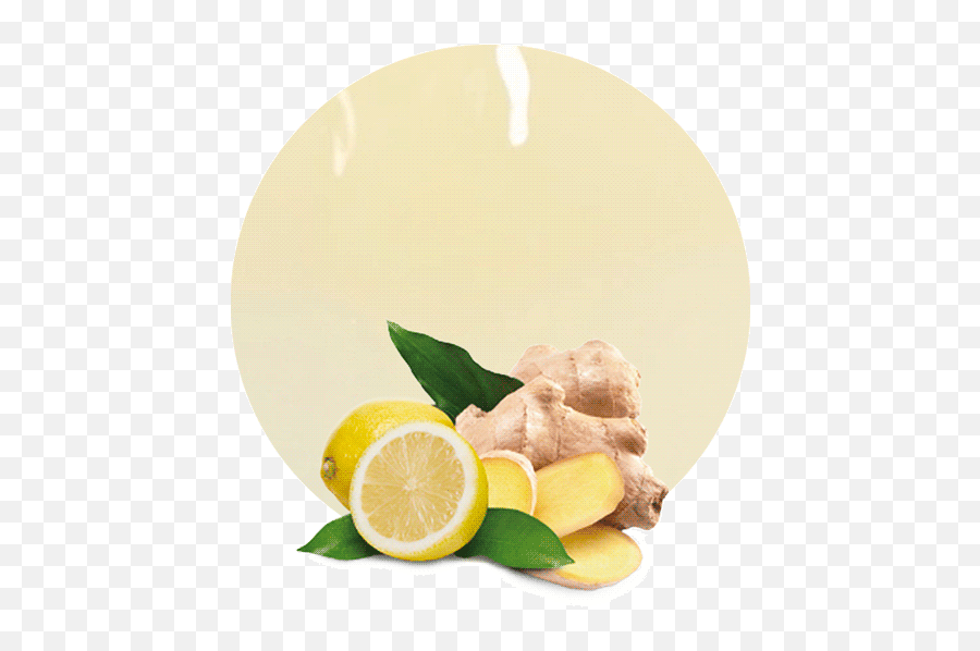 Lemon U0026 Ginger Juice Nfc - Manufacturer And Supplier Ginger Png,Juice Png