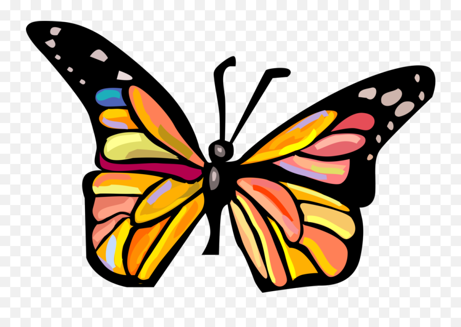 Colorful Butterfly - Vector Image Butterfly Png,Butterfly Vector Png