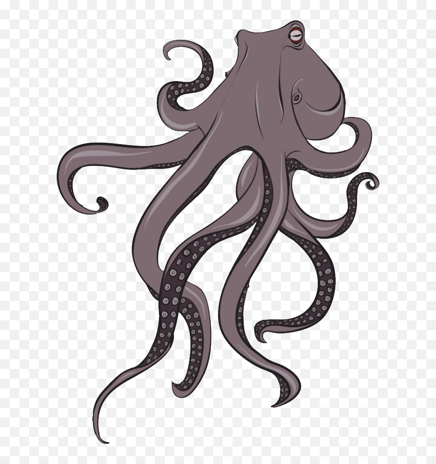 Octopus Png Download Image With - Octopus Vector Hd Png,Octopus Transparent Background