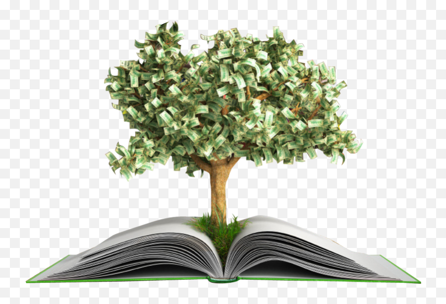 Small Money Tree Growing - Transparent Money Tree Png,Money Tree Png