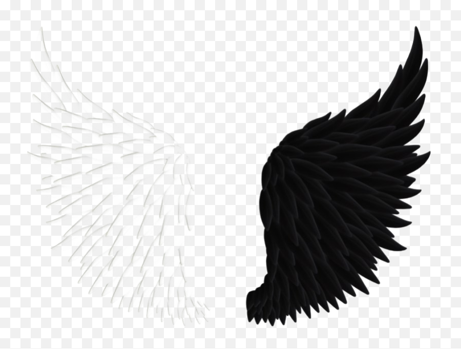 Wings Angel Png Image All - Black And White Wings,Angel Png
