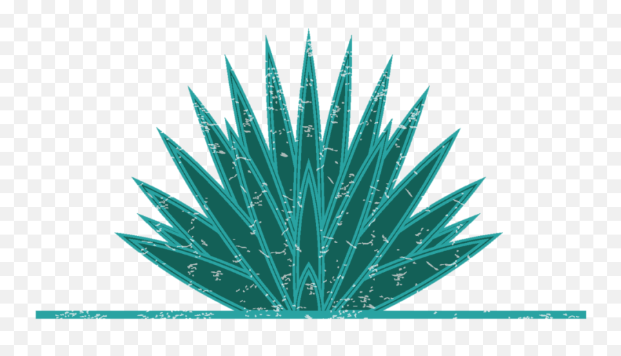 Download Hd Agave Mock 2018 - Agave Png,Agave Png