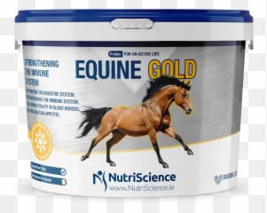 Equine Gold Digestive Supplement - Arthri Aid Png,Horse Transparent