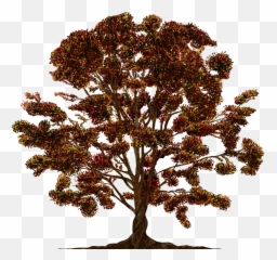 Tree Vector Ornament - Free image on Pixabay Family png