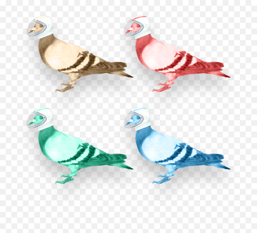Download Your Digital Partners In Crime - Pigeons And Doves Bird Png,Doves Png