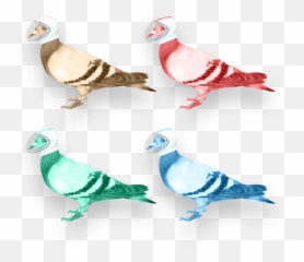 Download Your Digital Partners In Crime - Pigeons And Doves Bird Png,Doves Png