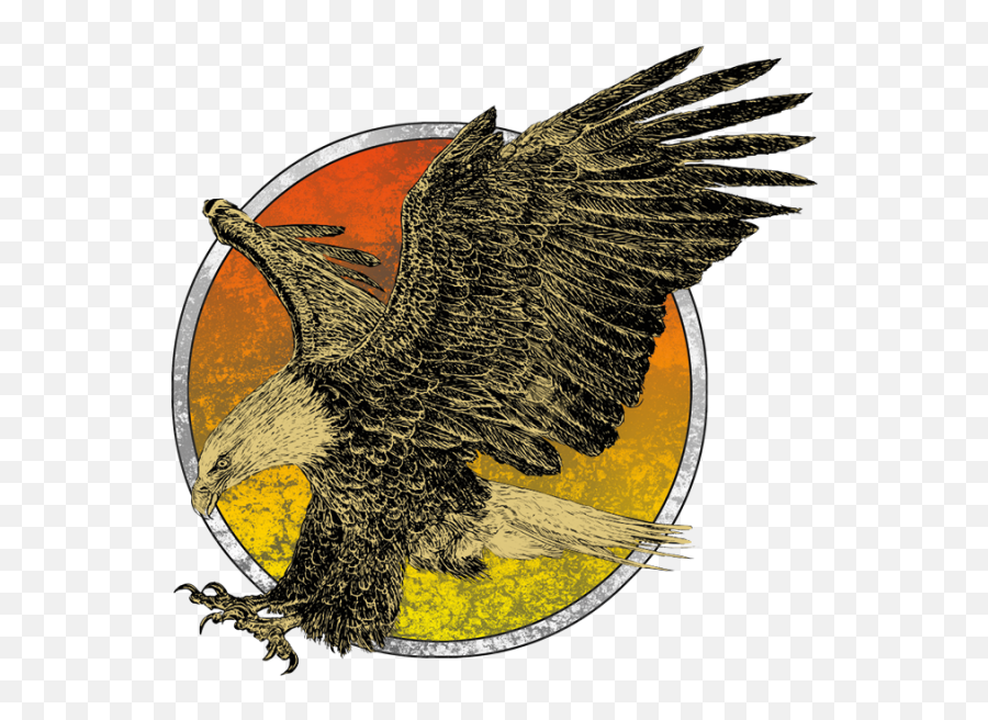 Download Eagle Flying - Eagle Png Image With No Background Flight Eagle Drawing,Eagle Flying Png