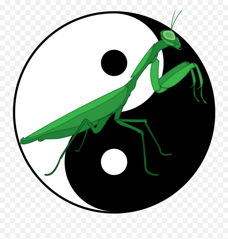 Our Praying Mantis Lineage - Ting Shen Kung Fu Praying Mantis Art Kung Fu Png,Praying Mantis Png