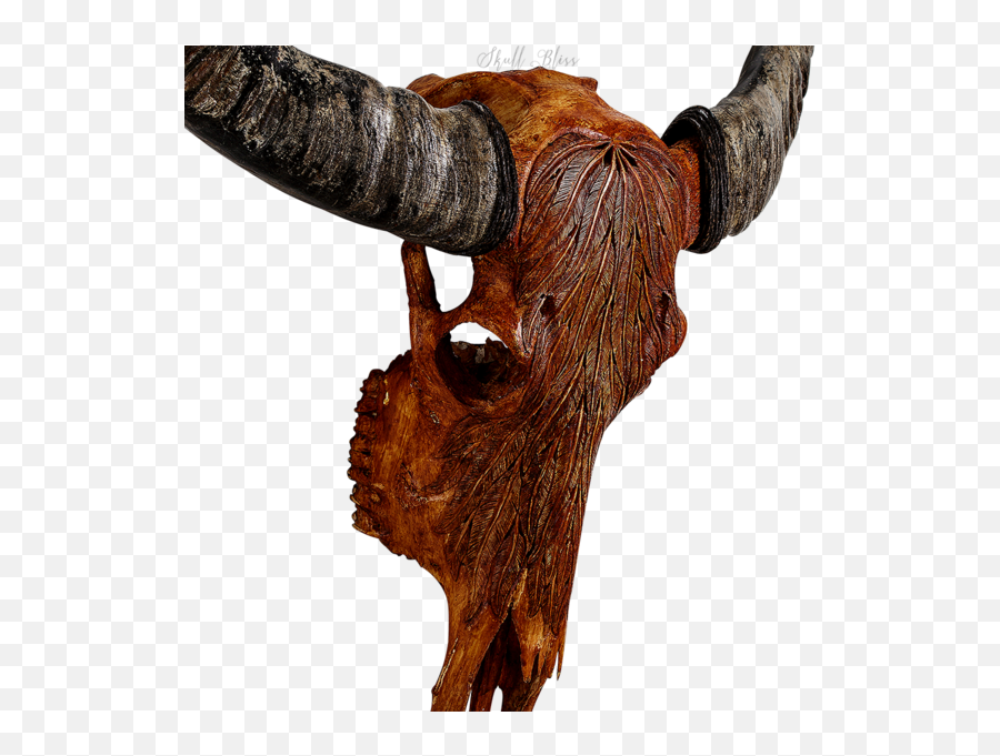 Animal Skulls Cattle Horn - Buffalo Skull Png Download 600 Skull,Cow Skull Png
