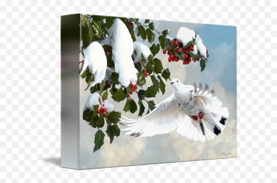 White Dove And Holly By Im Spadecaller - White Dove Winter Snow Png,White Dove Png
