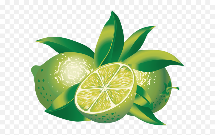 Lemons Clipart Lime - Lime Clipart Png,Lime Transparent Background