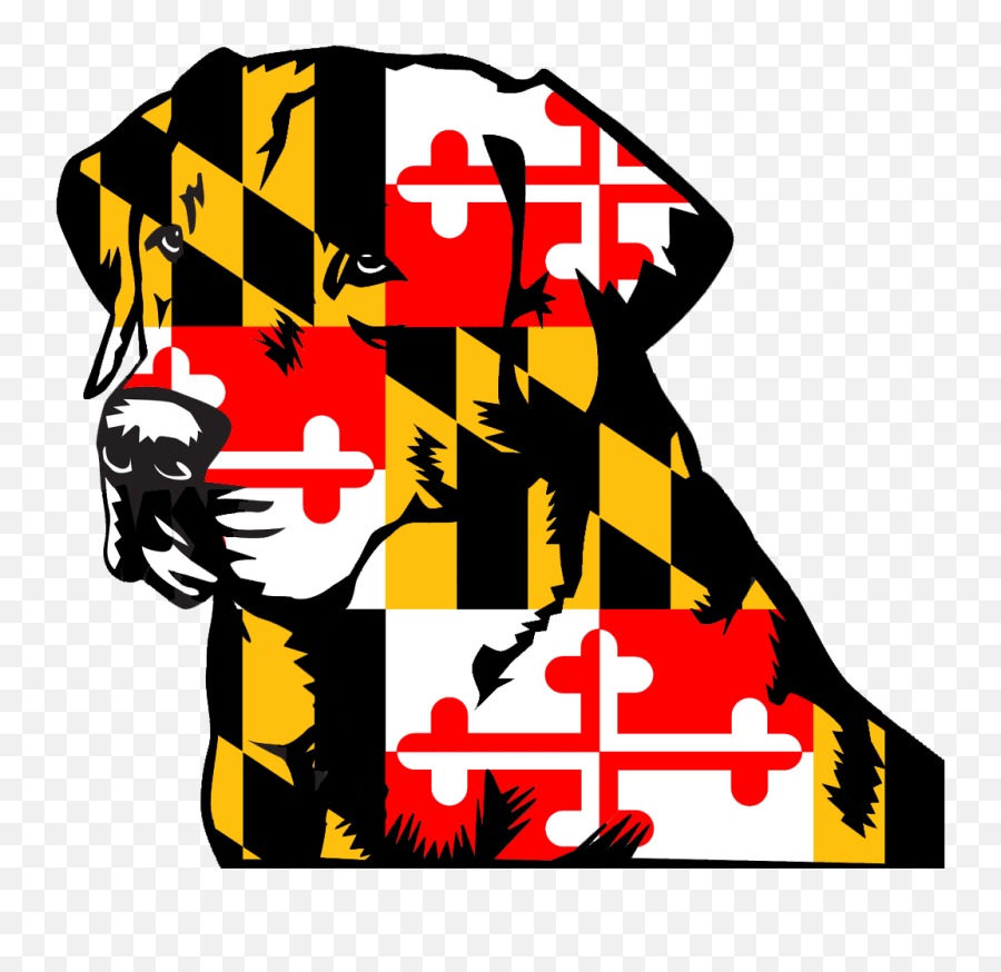 Download Maryland 3u0027x5u0027 Flag Usa United States - Full Size Maryland State Flag Png,Maryland Flag Png