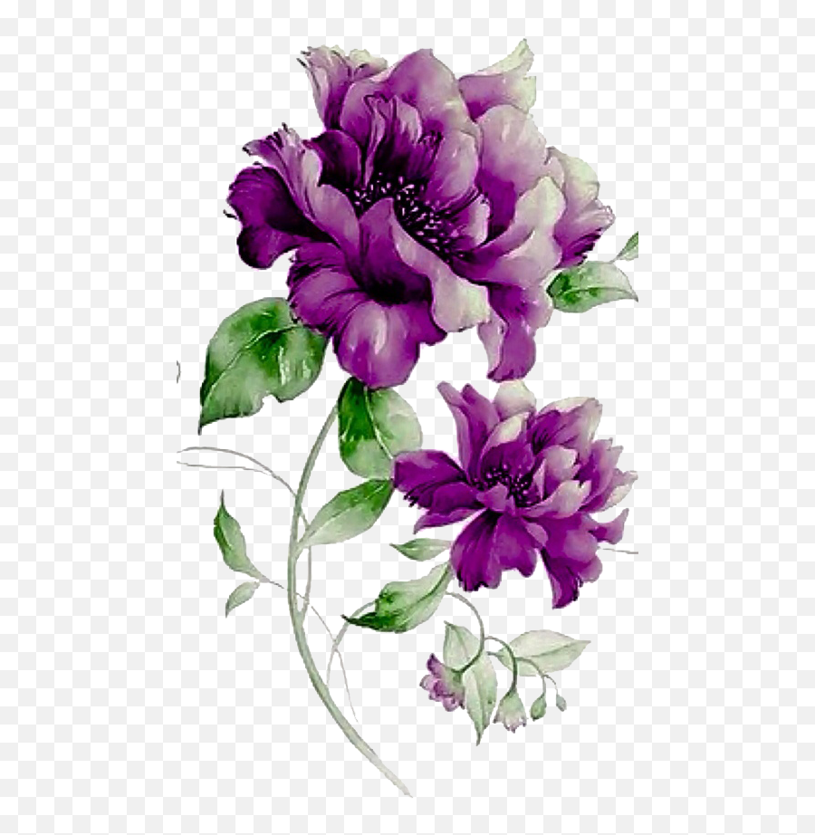 Purple Flowers Png Download - Transparent Purple Flowers Png,Purple Flowers Png