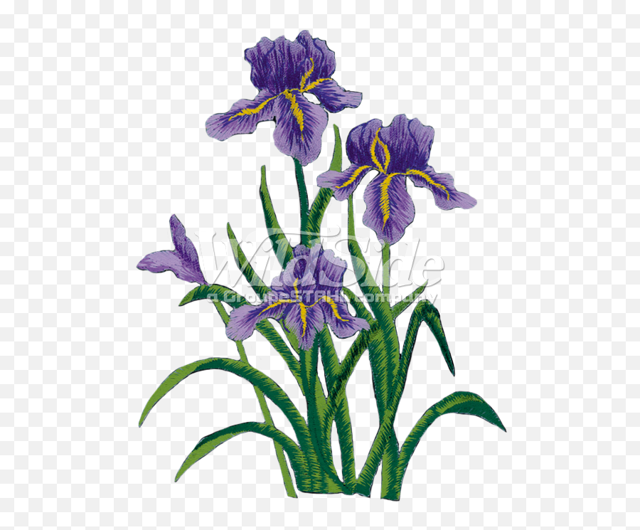 Download Purple Iris - Transparent Flower Side Full Size Iris Flower Embroidery Png,Iris Flower Png