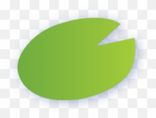 Lily Pad Leaf Clipart - Circle Png,Lily Pad Png