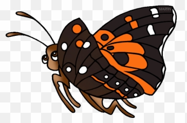 United States Clip Art By Phillip Martin State Insect Of - Hawaiian Butterfly Clip Art Png,Kamehameha Png