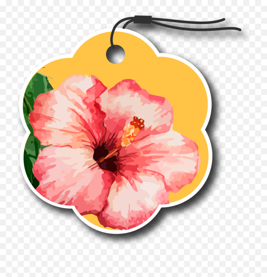 Flower Tag Png With Transparent Background - Shoeblackplant,Free Tag Png