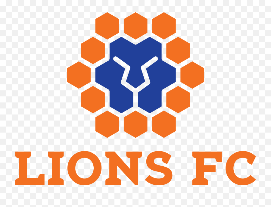 Lions Logo 2018 - Queensland Lions Png,Lions Logo Png