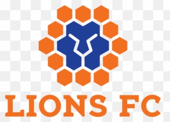 Lions Logo 2018 - Queensland Lions Png,Lions Logo Png