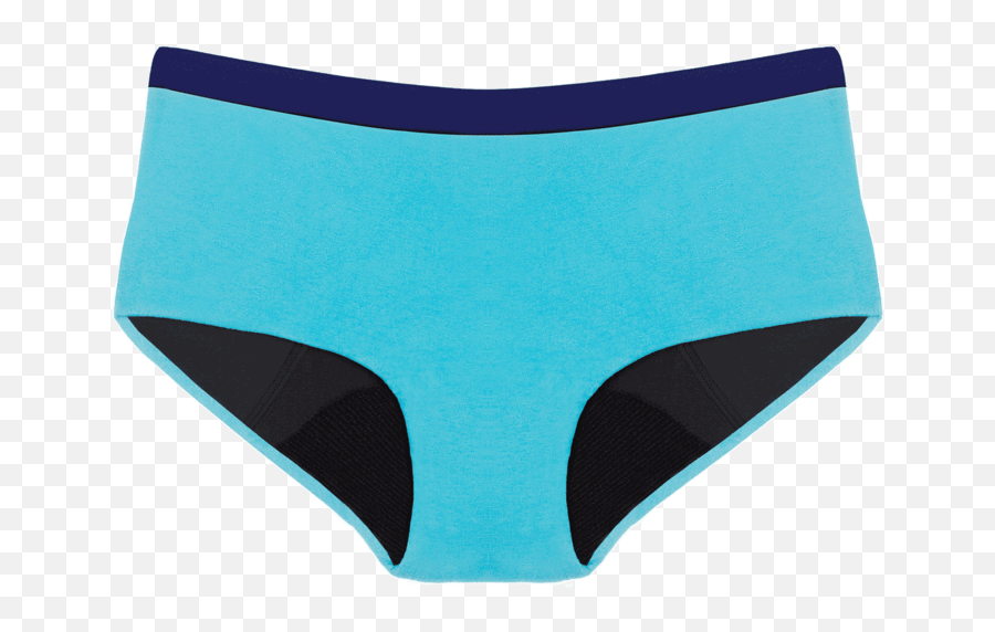 Brief - Solid Png,Icon Thinx Underwear