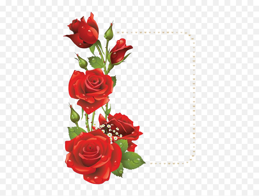 Download Red Flower Frame Png File 1 For Designing Purpose - Rose Flower Frames Design Png,Flower Frame Transparent
