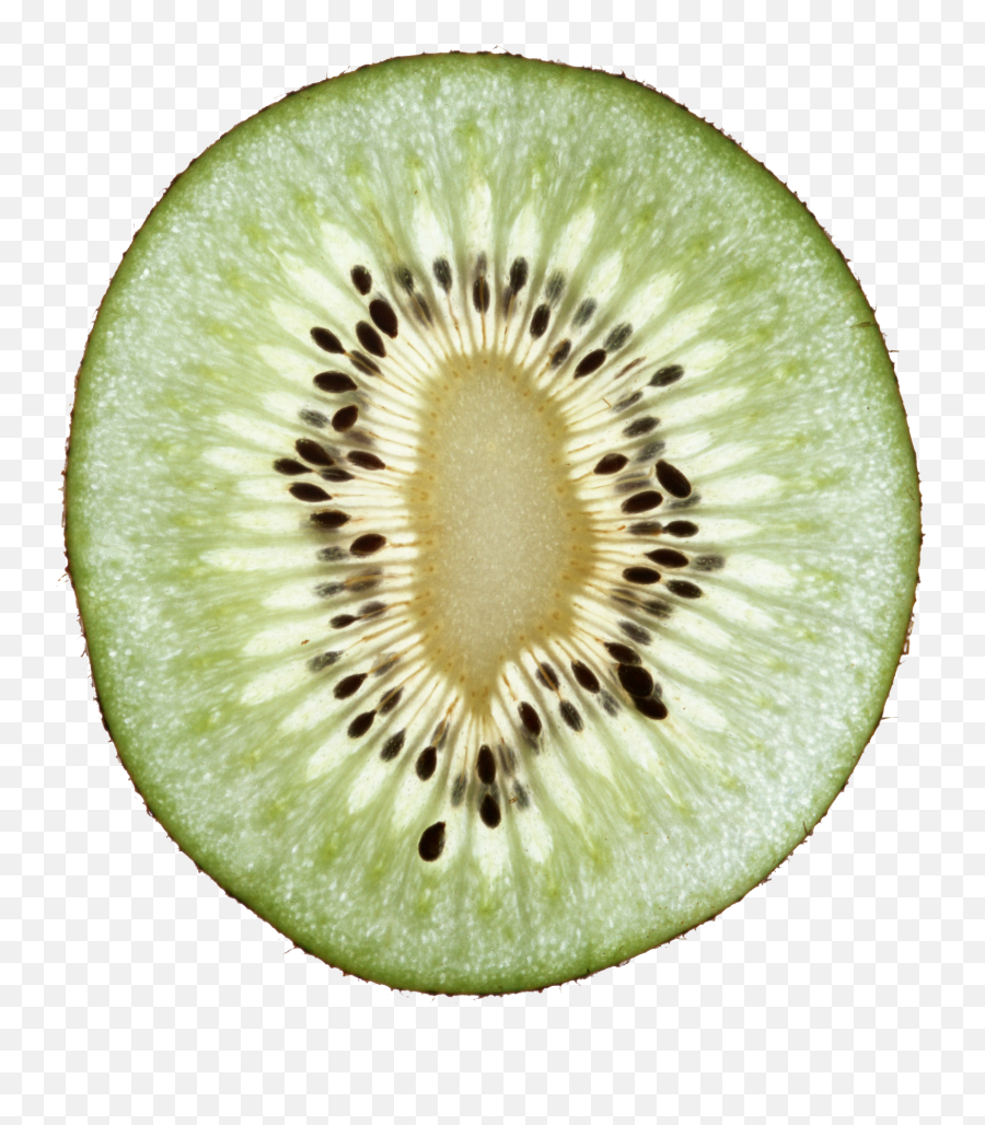 Kiwi Halved Png Image Cantaloupe