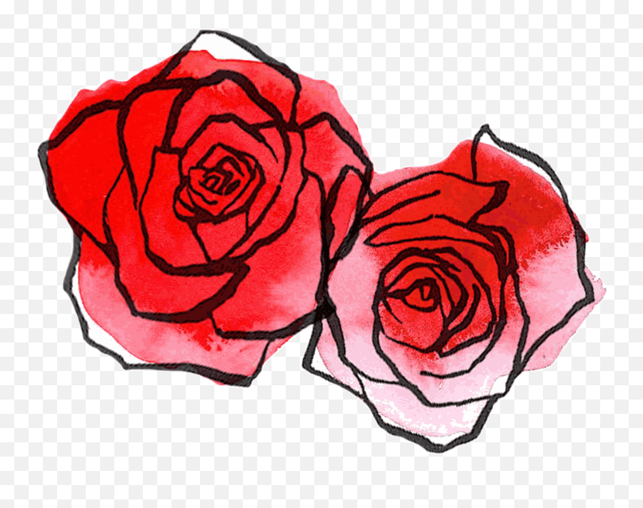 Download Free Png Collection Of Drawing Roses Red Rose - Red Roses Drawing Easy,Red Rose Transparent