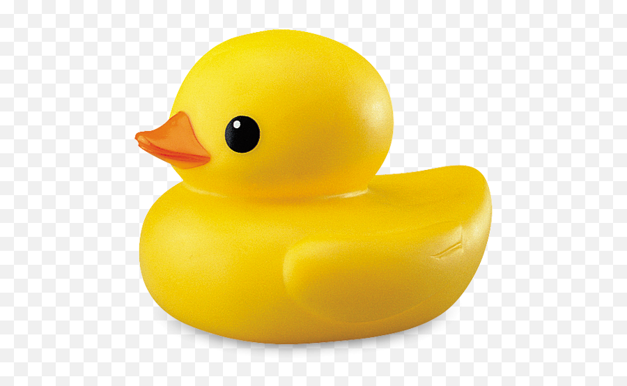 Download Duck Transparent Hq Png Image - Transparent Background Duck Png,Duck Png