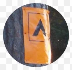 Algonquin Park Cedar - Radiant Hogan Burntroot Circle png