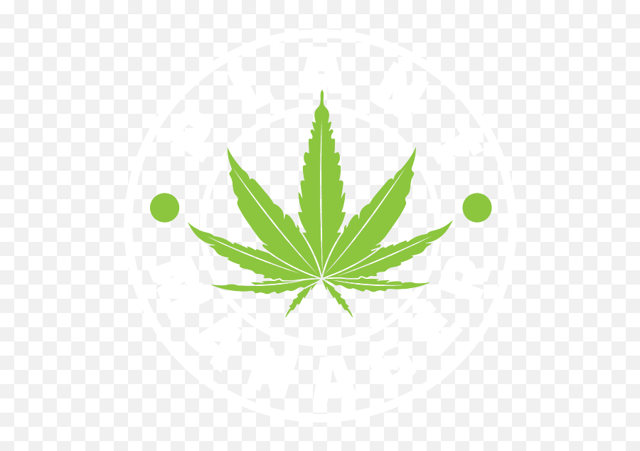 Plant Manager Marijuana For Chiller Of Weed And - Black Weed Leaf Png Transparent,Marijuana Plant Icon