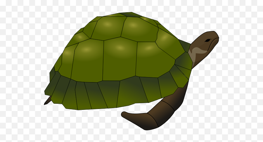 Clip Art Of Large Old Turtle In Green And Brown Free Svg - Sea Turtle Clip Art Png,Cute Turtle Png