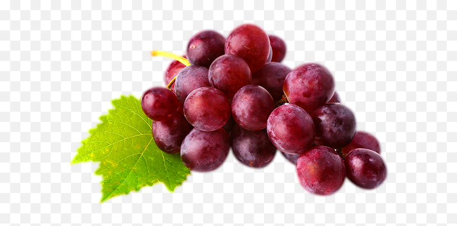 Red Grape Png Image - Red Globe Grapes Png,Grapes Png