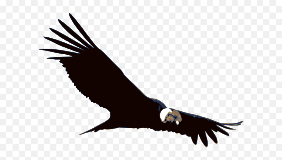 Donu0027t Fall Prey To Laptop Thieves Free Brand Software - Bird Of Prey Grand Canyon Png,Prey Logo Png